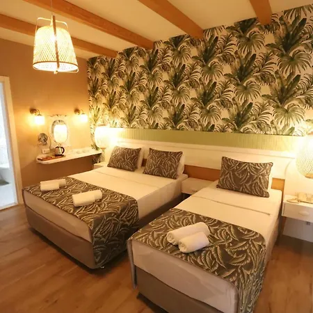 Otel Dolphin Park 3*