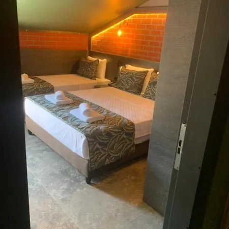 Otel Dolphin Park 3*