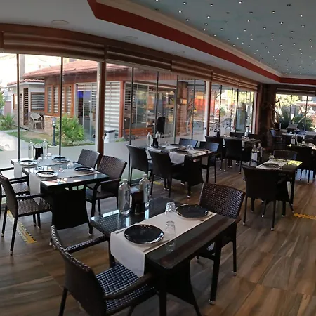 酒店 Dolphin Park 3*